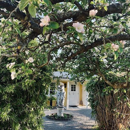 Villa Sol B&B And Hostel Borgholm Exterior photo