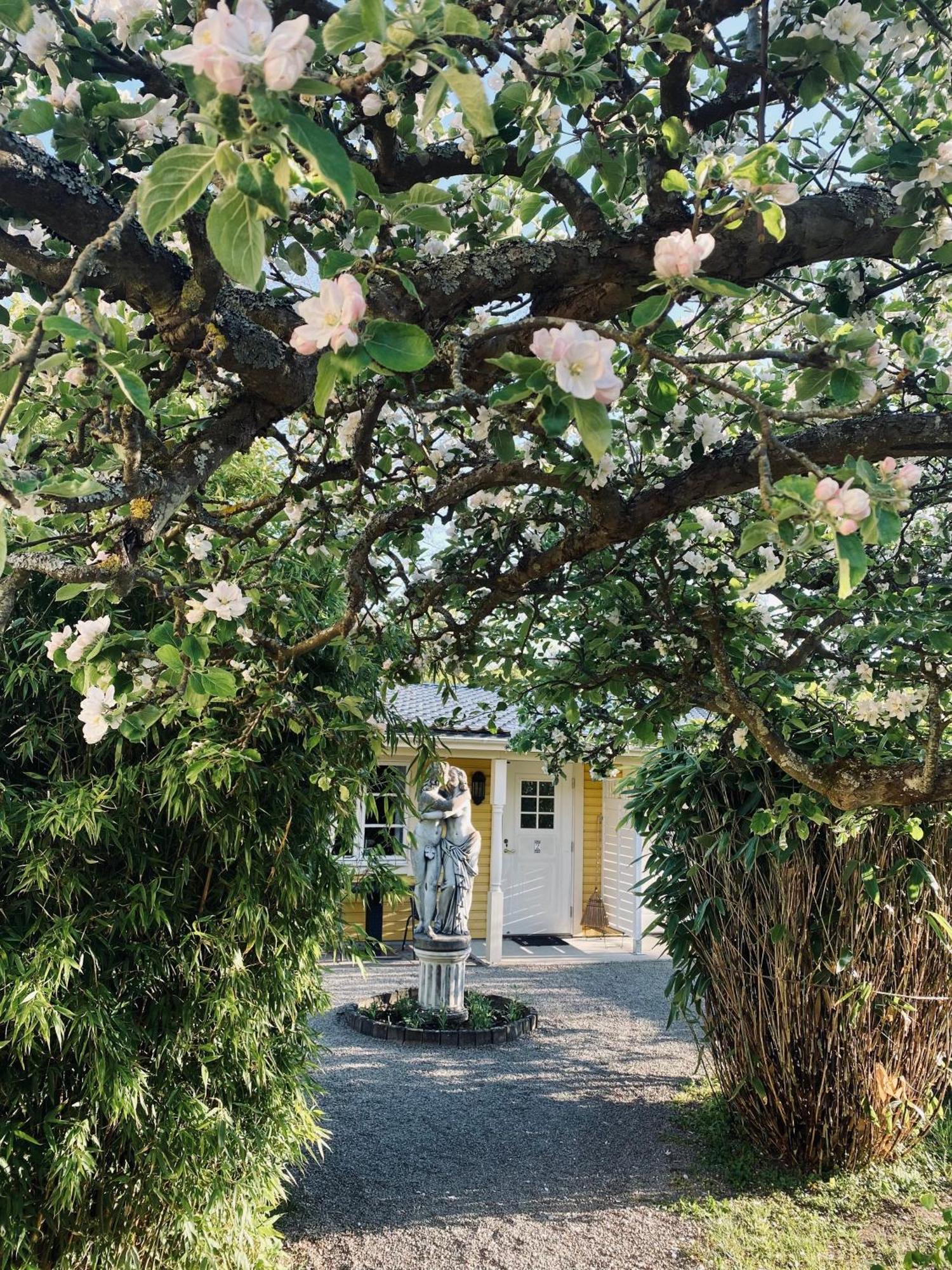 Villa Sol B&B And Hostel Borgholm Exterior photo
